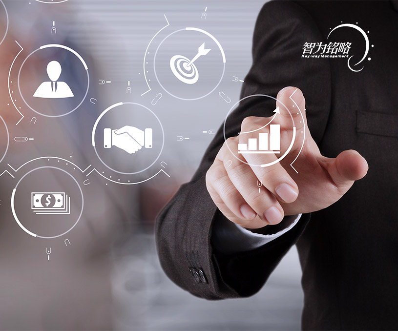 蘇州智為銘略企業管理有限公司項目申報營銷型網站制作建設開發案例